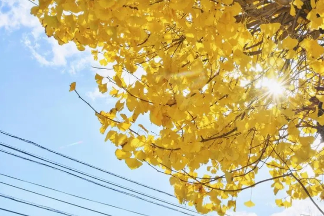 1718679222225060.png 1718679222225060.png