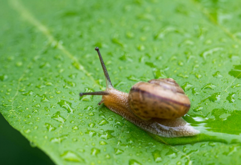 1730887876678481.png 1730887876678481.png